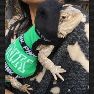 PINK VS SLEEVELESS HOODIE SHIRT 4 BEARDED DRAGON